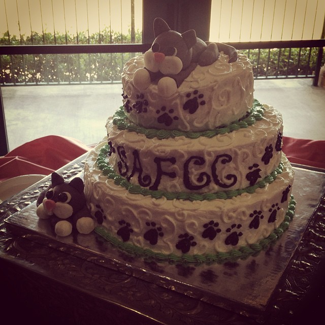 Such a cute cake!! For the San Antonio feral cat coalition :)