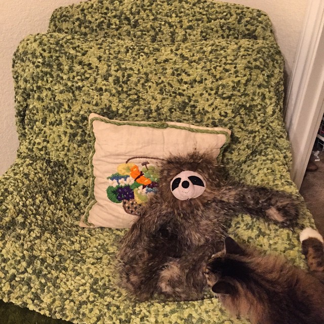 Gremlin didn’t know what to think of the new #sloth addition #relaxing in her chair #anthropologie