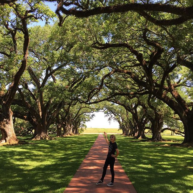 Such a wonderful and magical place! #oakalleyplantation #travel #beauty #travelstagram
