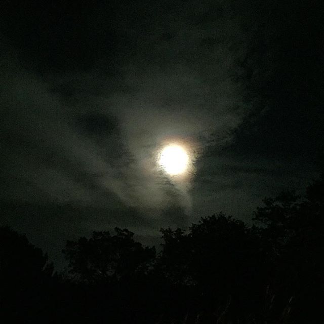 Such a beautifully creepy night sky 🌚 #moon #nightsky #texas #blackfriday