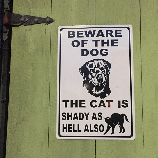 Beware of the #dog – the #cat is shady as hell also  #neworleans #notallwhowanderarelost