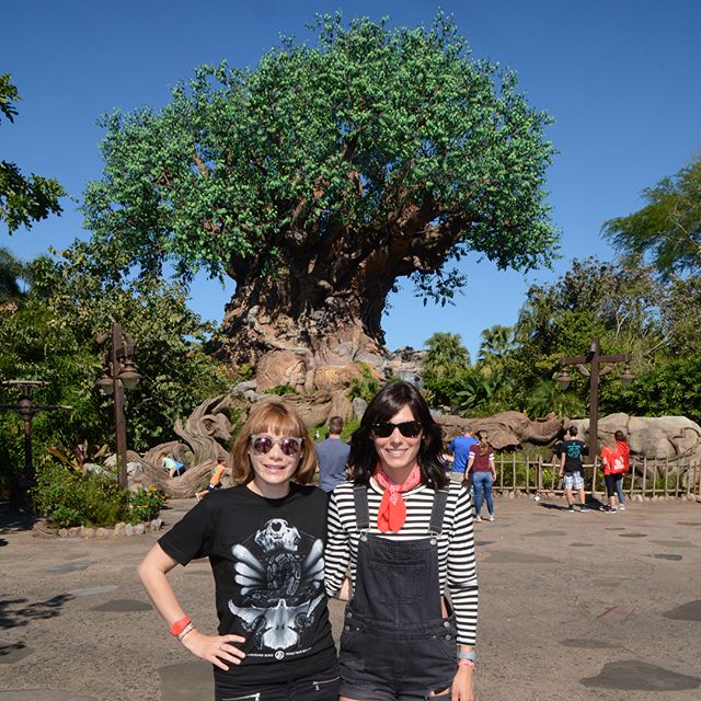 Disney Day 7 –  #animalkingdom #disney #disneyworld #treeoflife #monkey #happiestplaceonearth #sisters #vacation #travel