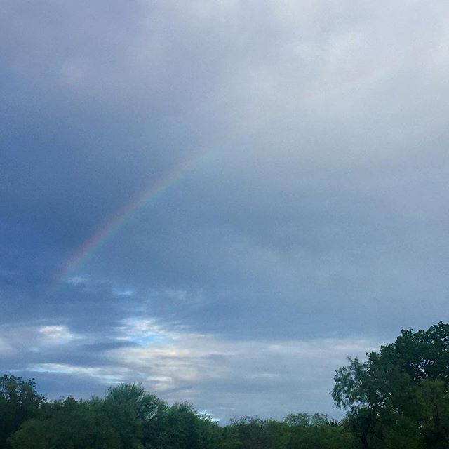 So beautiful after the rain 🌧 #rainbow #afterthestorm #texas